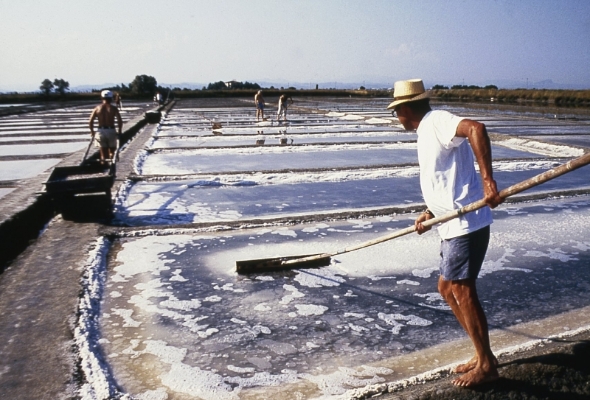 PEDALIAMO INSIEME PER LA SALUTE DEI PIù PICCOLI - dalzero.it